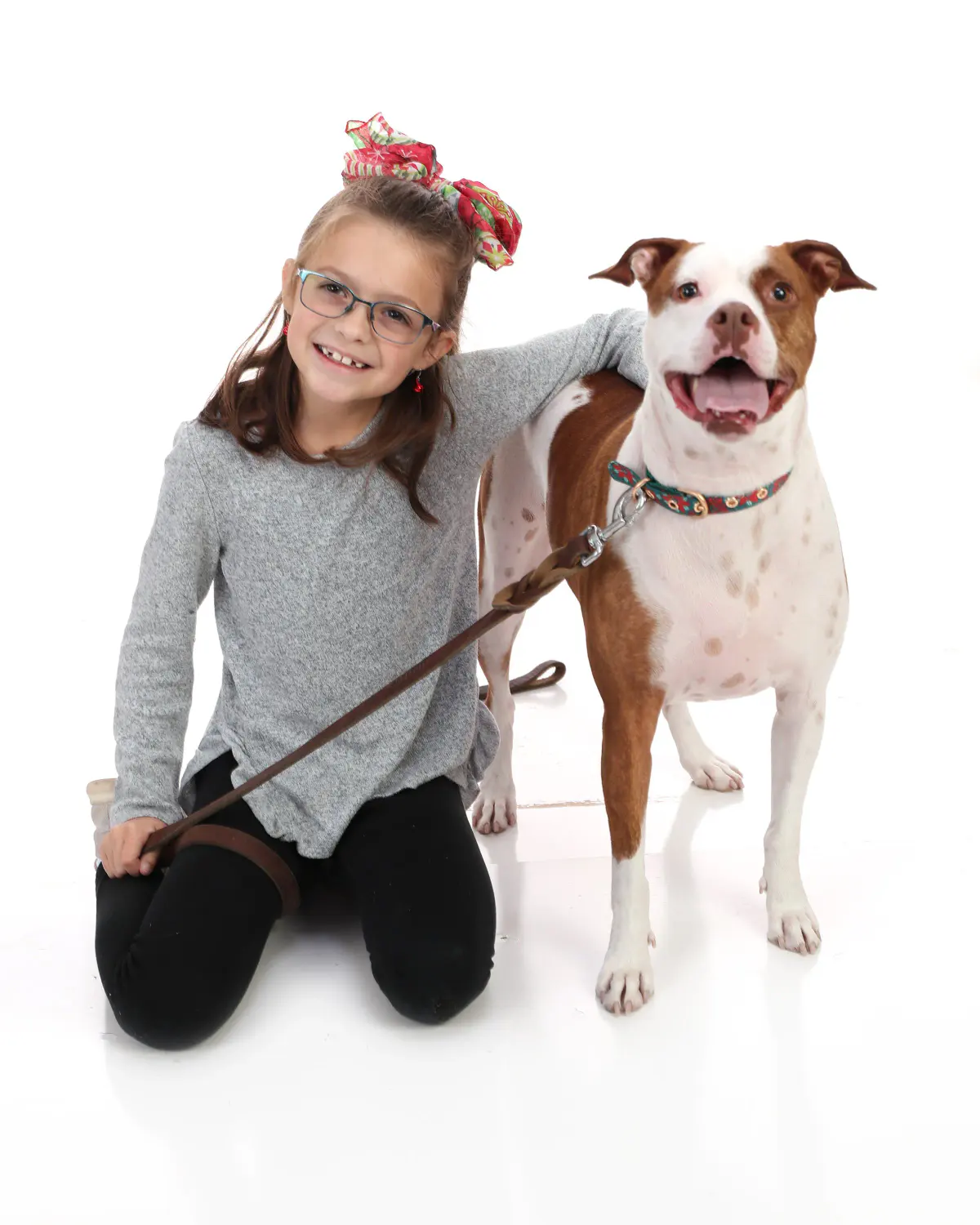 Young girl with glasses and a red hair bow kneeling on white seamless, holding the leash of a smiling brown-and-white dog that stands beside her